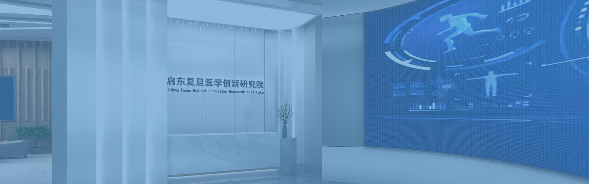 下载中心